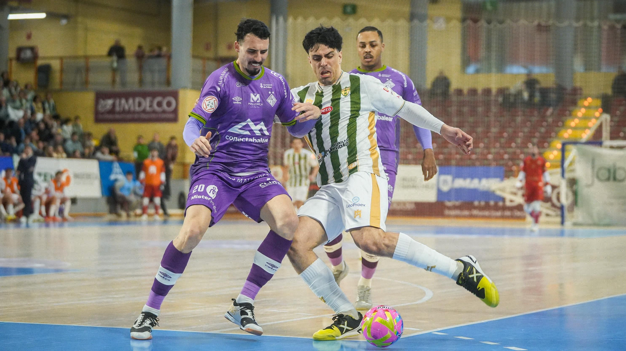 Córdoba Patrimonio de la Humanidad - Illes Balears Palma Futsal.