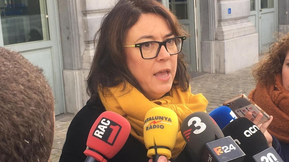 Riba (ERC) pide a la Eurocámara que no permita la "arbitrariedad y desobediencia" del Supremo con Junqueras