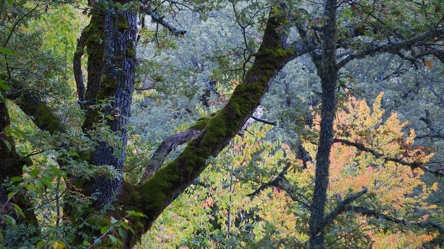 Buitrago de Lozoya y los pueblos negros de la Sierra Norte de Madrid