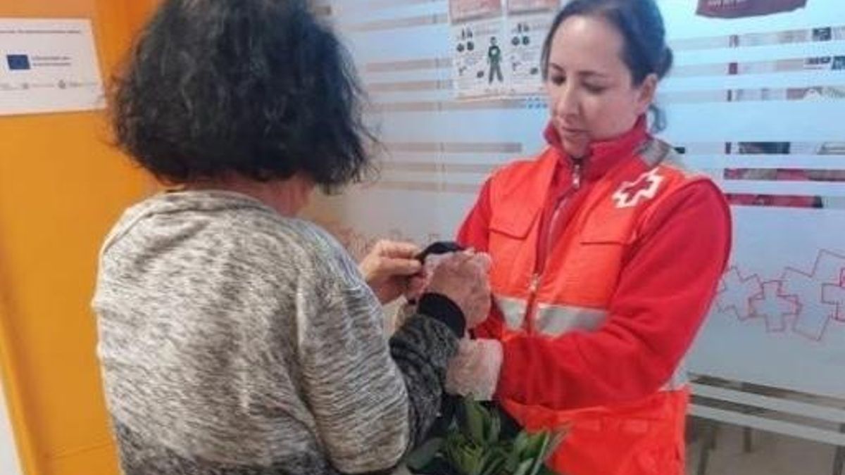 Cruz Roja distribuye alimentos frescos a 337 familias vulnerables de La Palma.