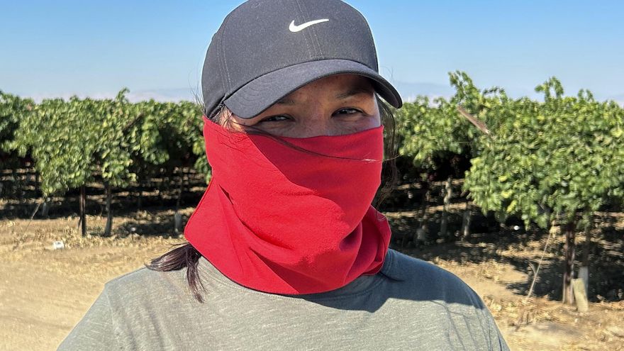 El miedo que se cosecha: jornaleros en California bajo las redadas migratorias