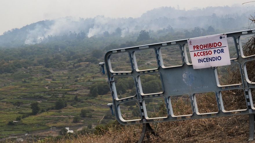 El incendio forestal que afecta a la isla de Tenerife este sábado mientras avanza por el municipio de La Victoria. EFE/Alberto Valdés