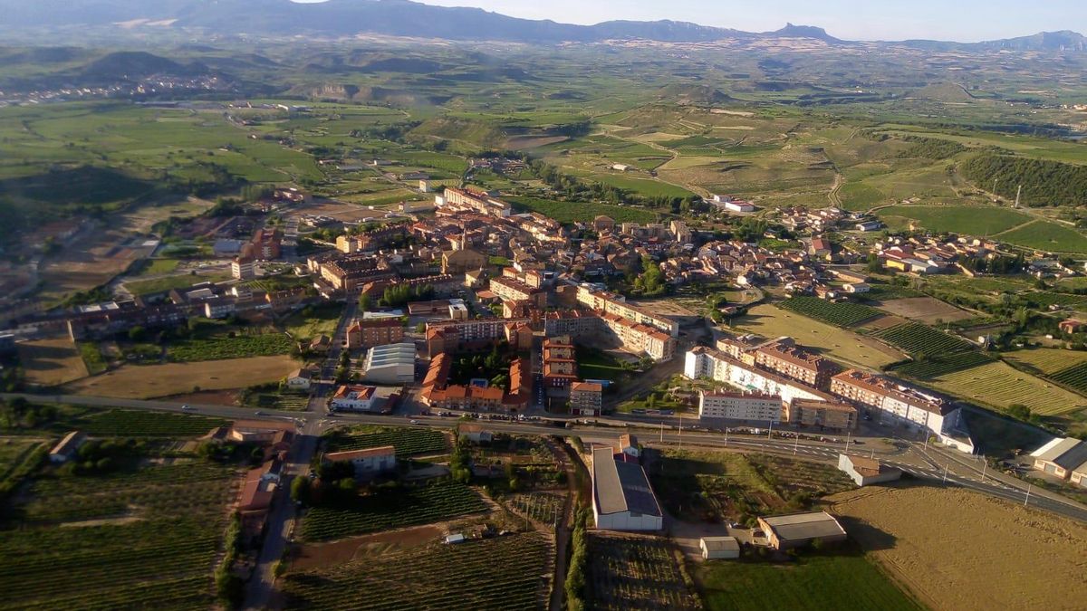 Encuentran a un trabajador temporero muerto en un viñedo en el término Los Valles de Fuenmayor