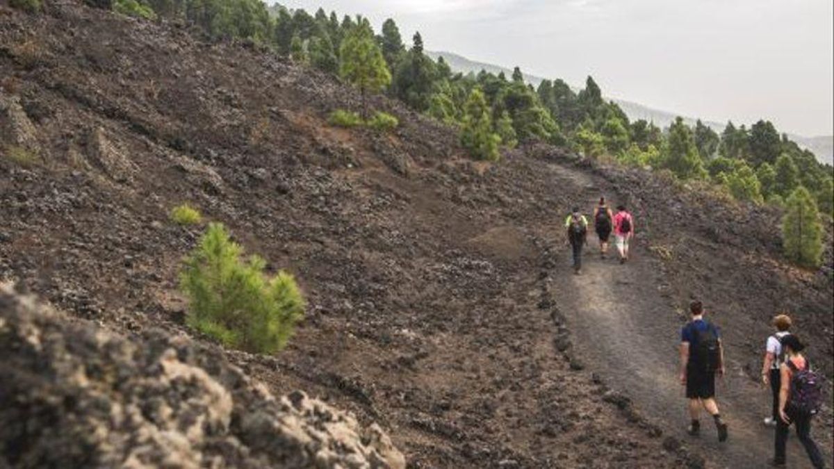 Senderistas en la Ruta de los Volcanes.