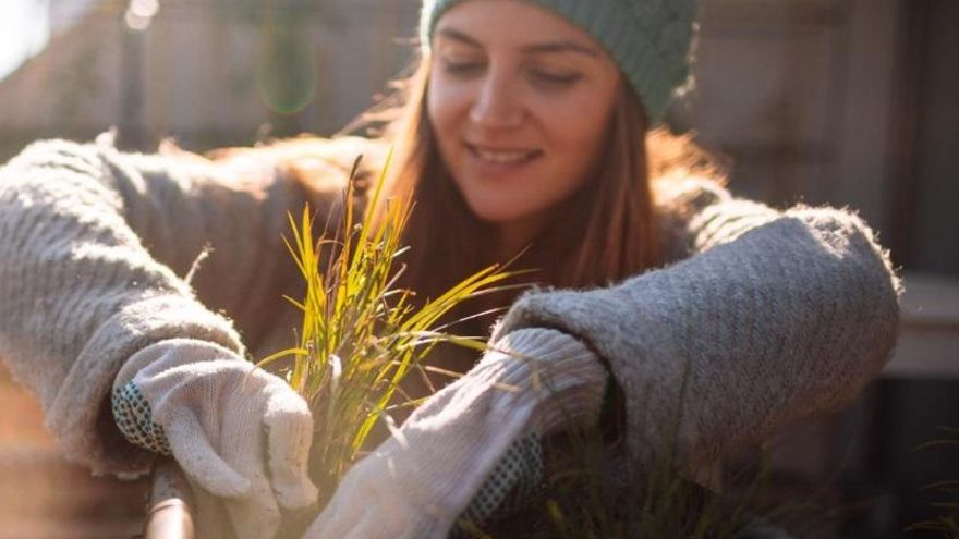 Proteger las plantas del frío: consejos para que la bajada drástica de temperaturas no les afecte