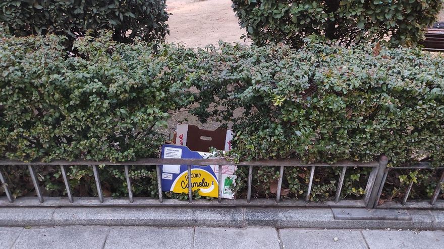 En los setos hay desperdicios, además de muchas hojas y ramas secas