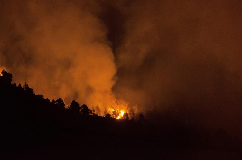 Incendio forestal en la isla de La Palma. (EFE)