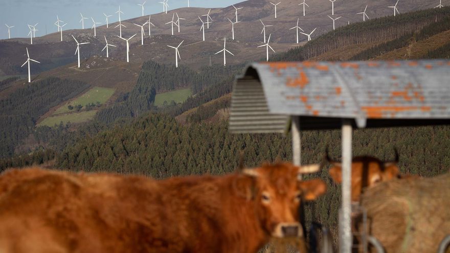 Los parques eólicos suspendidos por el TSXG ya superan los 60 tras tres nuevas paralizaciones por motivos ambientales