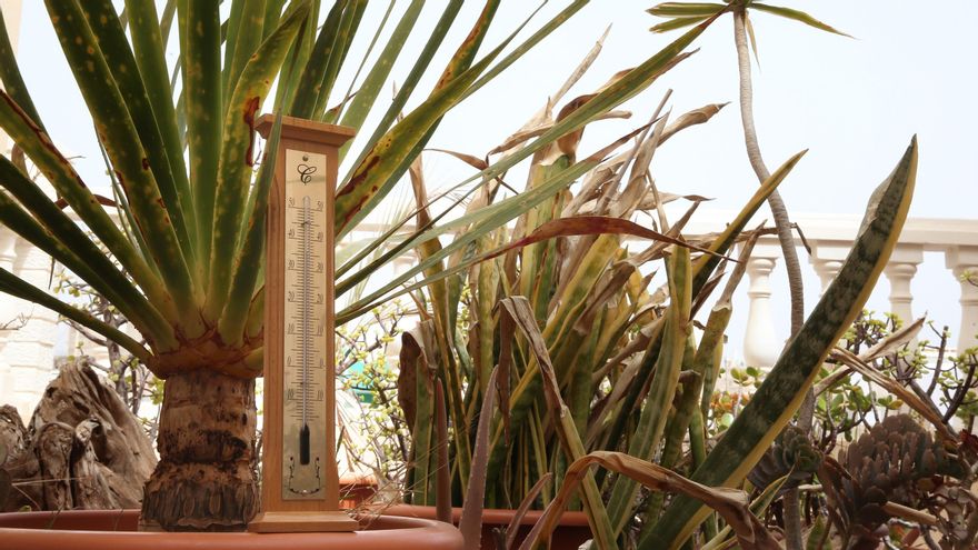 Los termómetros marcan 36º a la sombra en Gran Canaria
