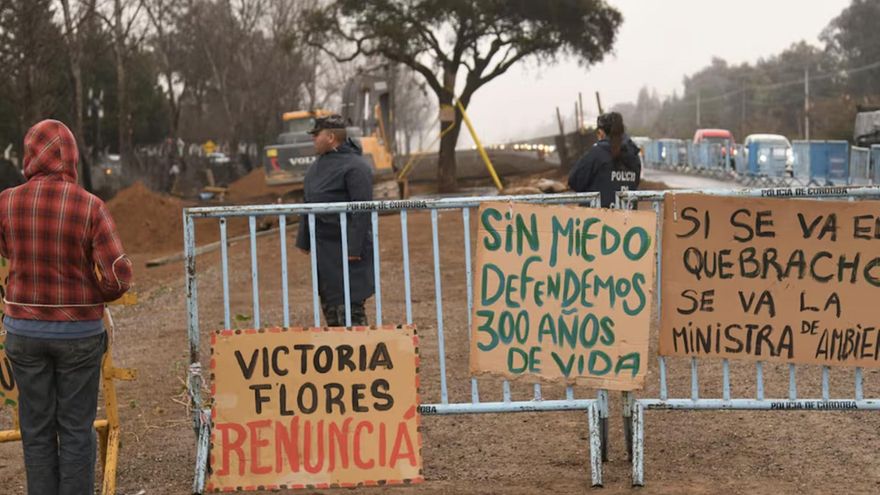 “El quebracho no se toca”: buscan impedir el traslado de un árbol de más de 280 años para ampliar una avenida en Córdoba