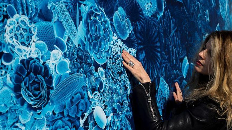 Un mural de arte científico reivindica el estudio de los microorganismos marinos