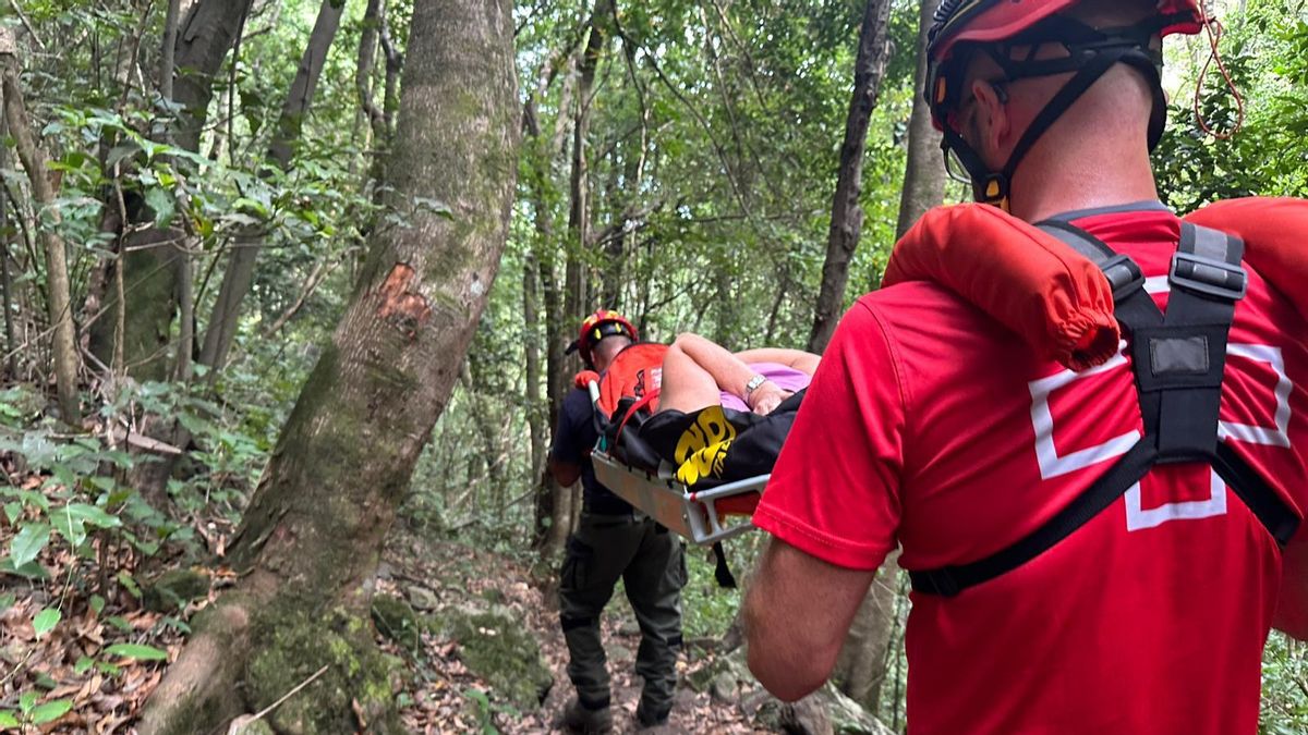 Cruz Roja y Cabildo La Palma refuerzan la preparación ante emergencias en la isla
