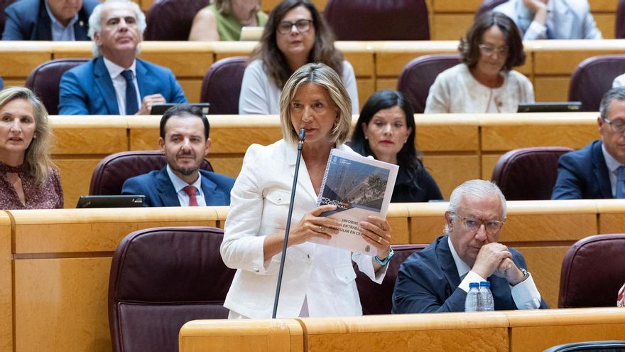 La portavoz del PP en el Senado, Alicia García