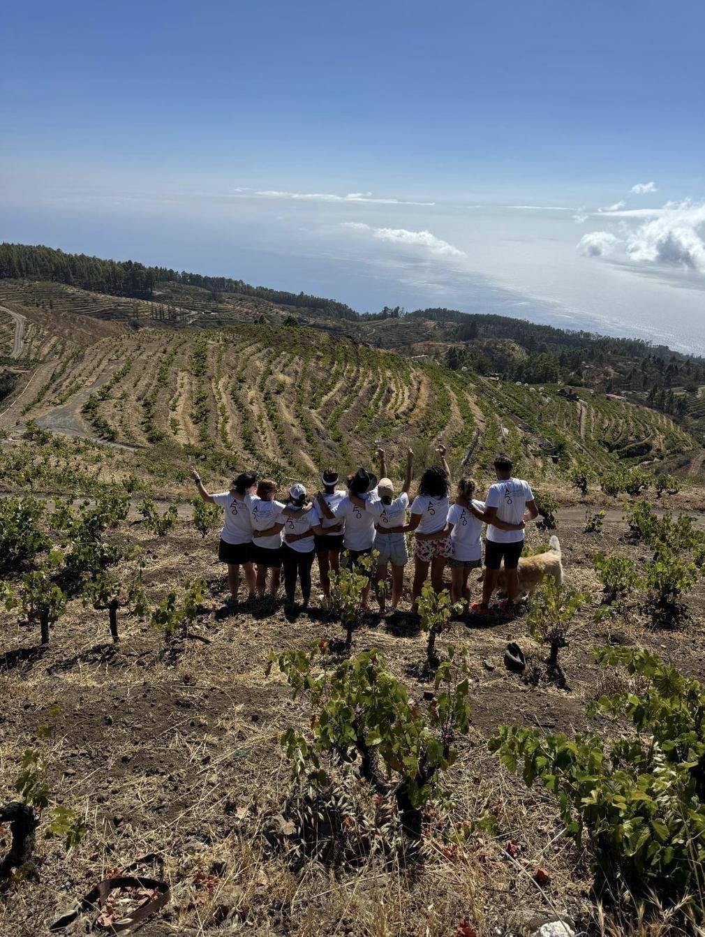 Ruta circular a pie por los viñedos de la Bodega Viñarda, en el norte de La Palma.
