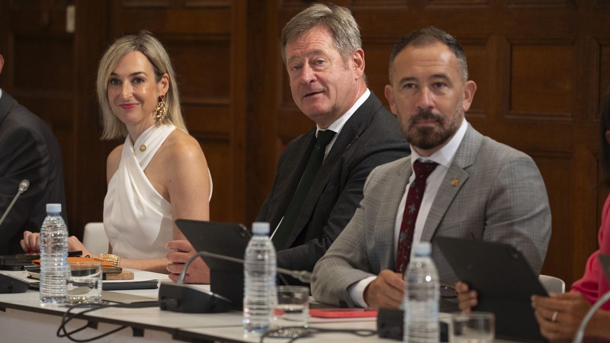 El PSE-EE critica al PNV por ofrecer el origen de los delincuentes pero no vota contra ello con la oposición