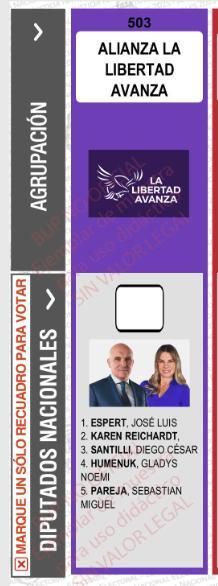 Con la cara de Espert: así se verá la columna de LLA en la boleta única en la provincia de Buenos Aires.