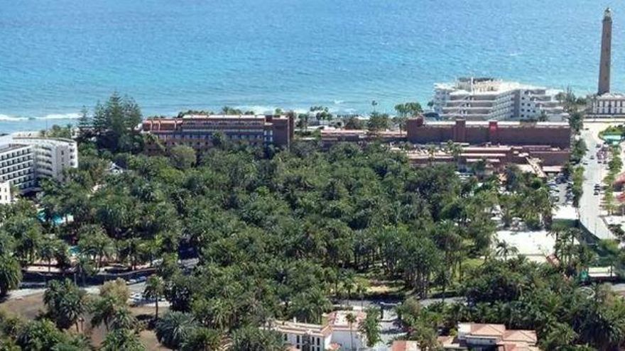 El Ayuntamiento de San Bartolomé de Tirajana aprueba la licencia de obra para acondicionar el Oasis Palmeral