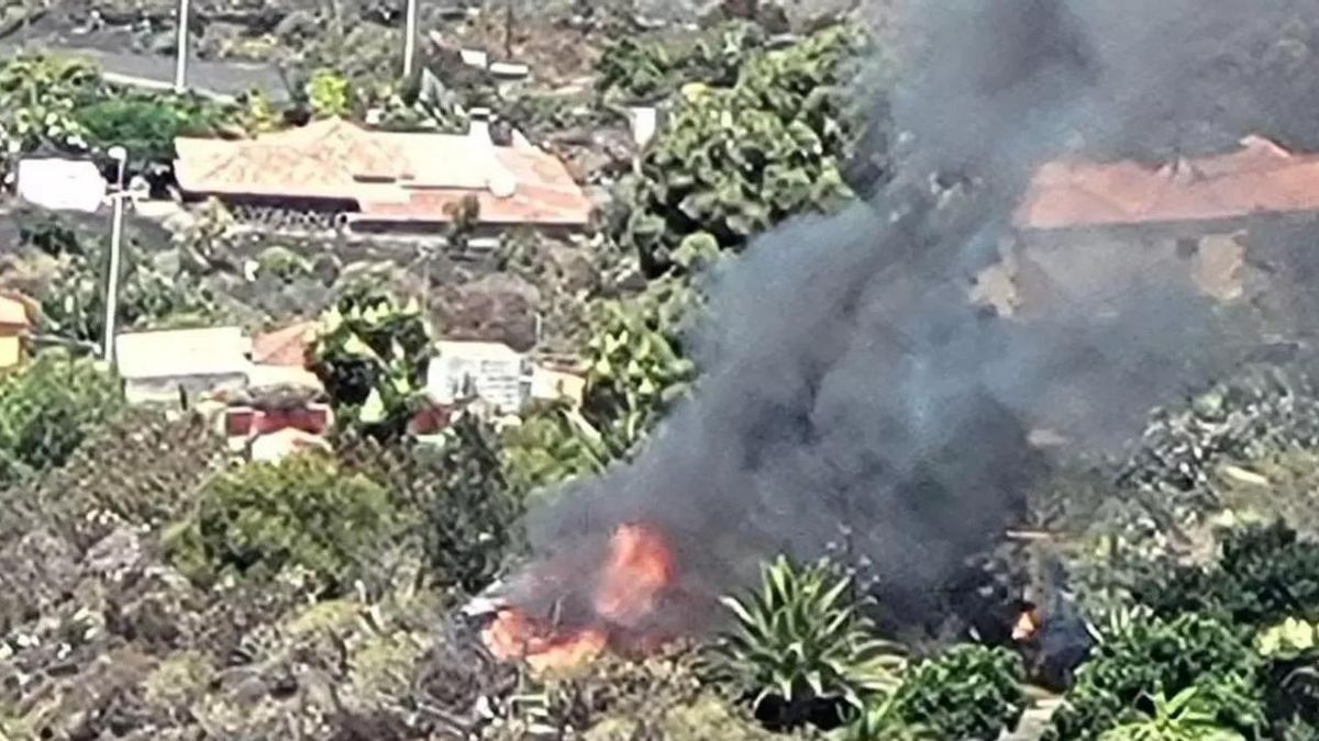 Imagen del conato declarado en Las Manchas de Abajo.