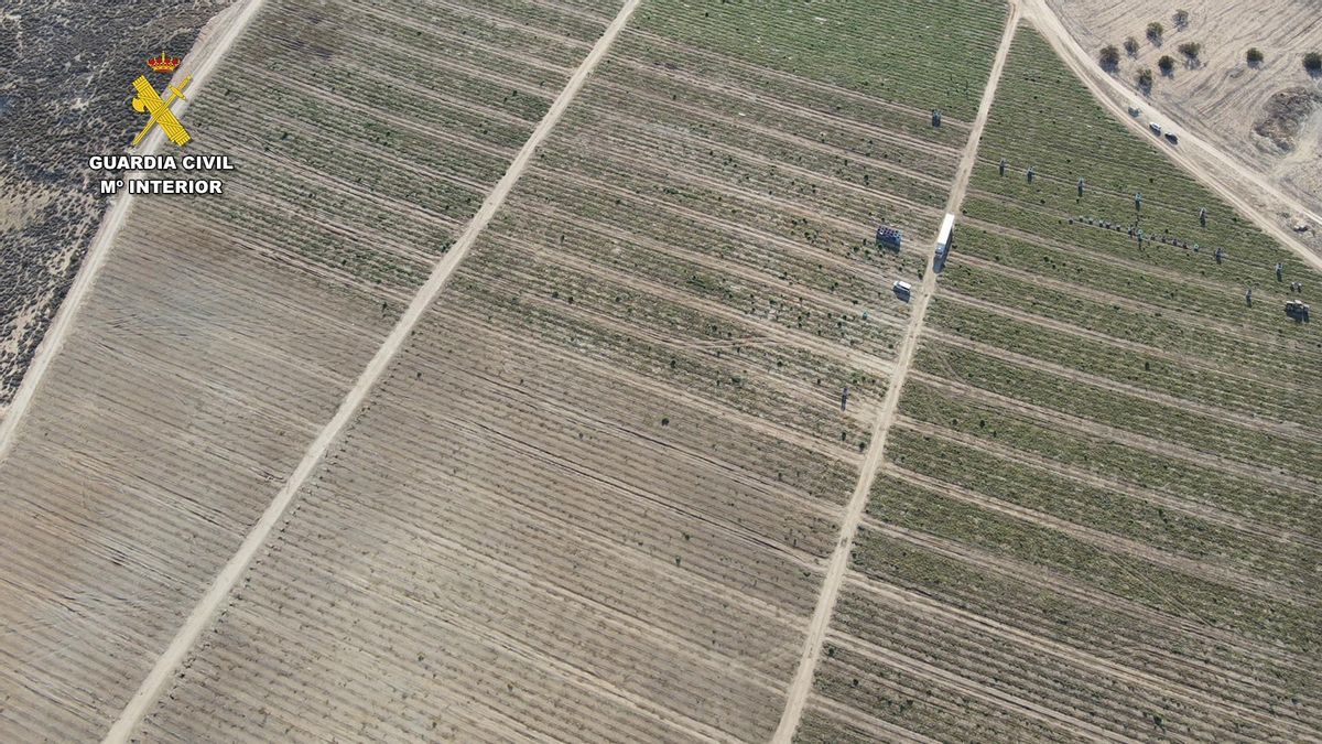 La Guardia Civil investiga a una persona y a una entidad jurídica por la instalación de pozos clandestinos en Córdoba