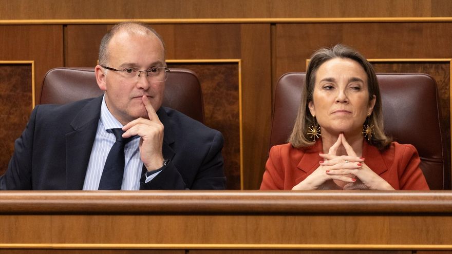 El portavoz del PP en el Congreso, Miguel Ángel Tellado y la secretaria general del PP, Cuca Gamarra, durante una sesión plenaria, en el Congreso de los Diputados.