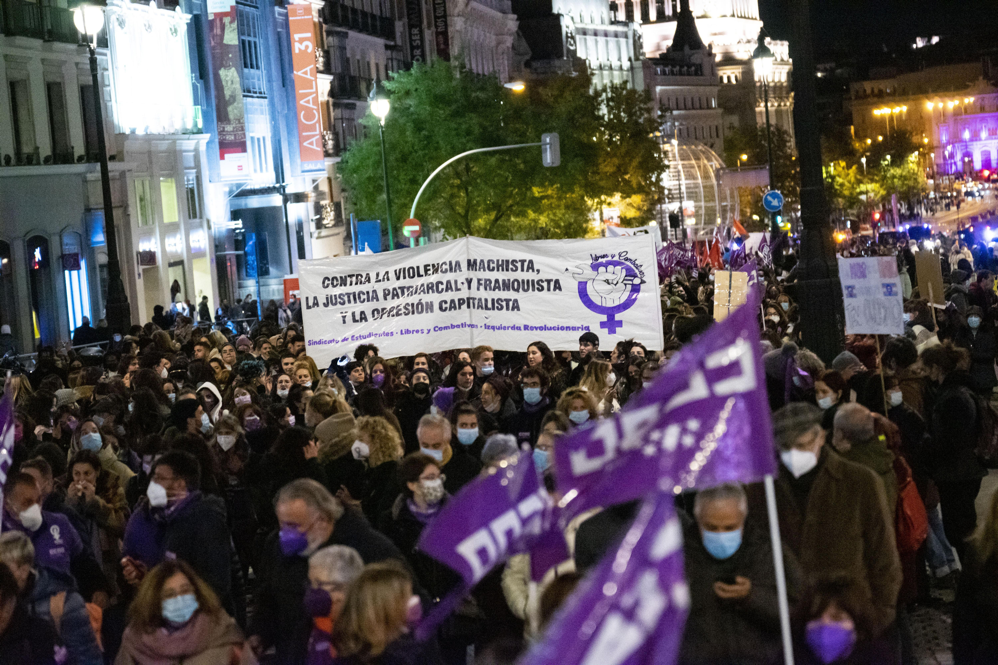 La marcha de Madrid, una de las más numerosas