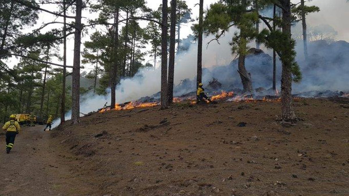 Varias islas de Canarias, en alerta por riesgo de incendios forestales