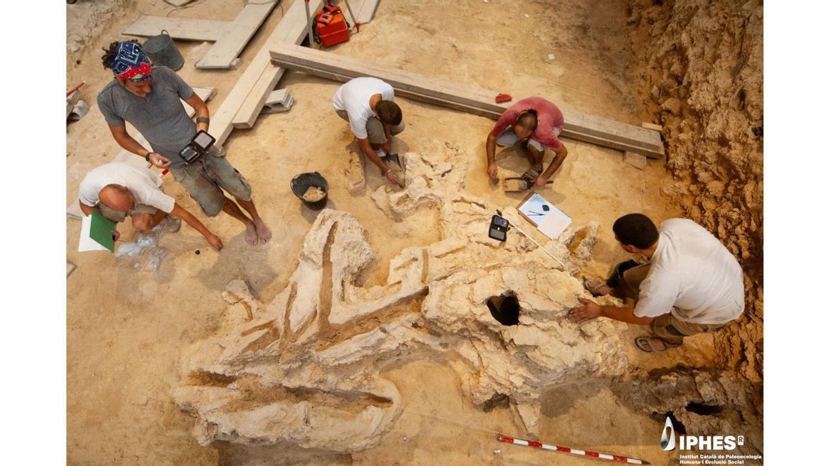 Un yacimiento de Barcelona revela que los neandertales fabricaban herramientas de madera hace 60.000 años