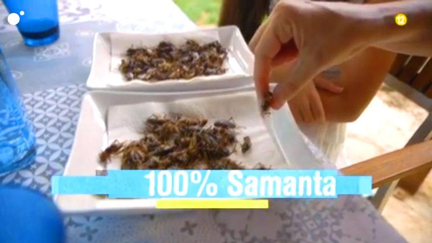 Samanta Villar come insectos en "Samanta y..."