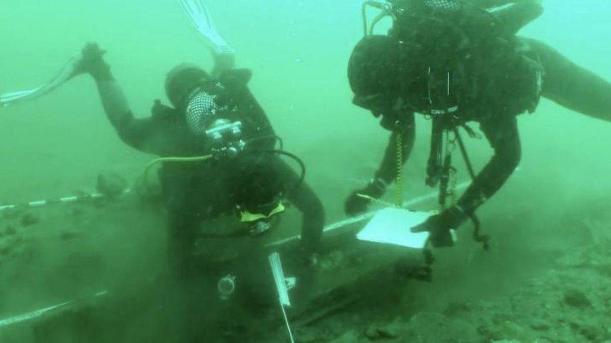 Las condiciones de baja temperatura, escasa luz y acumulación de sedimentos han permitido preservar restos como el fragmento de roble