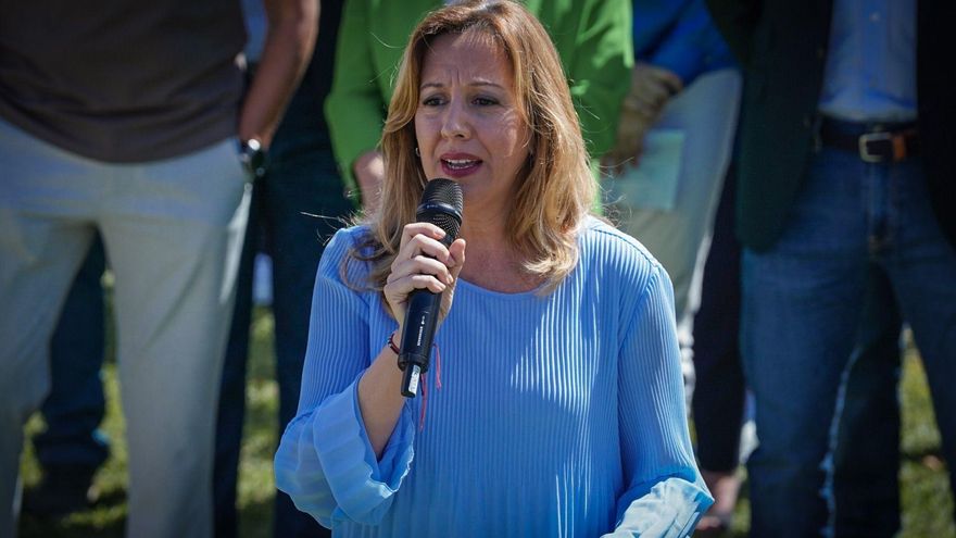 La presidenta del Cabildo de Tenerife admite que hay que revisar el modelo porque "hay turistas por todos lados"