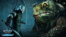 The Witcher: Wild Hunt Hearts of Stone