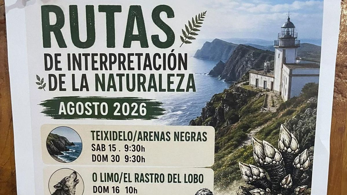 El cartel que ya has visto mil veces este verano, o cómo la IA nos está colonizando
