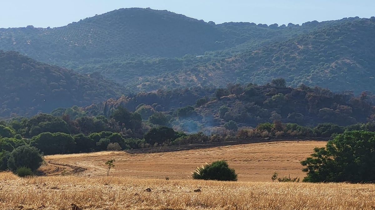 Humo blanco en la zona de la Albaida que ha provocado el aviso a los bomberos.