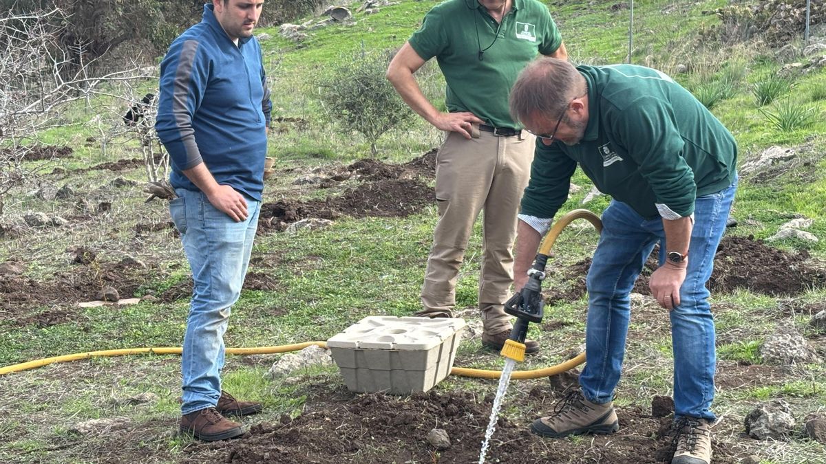 El Cabildo de Gran Canaria prueba prototipos de retenedores de agua fabricados a partir de residuos de platanera
