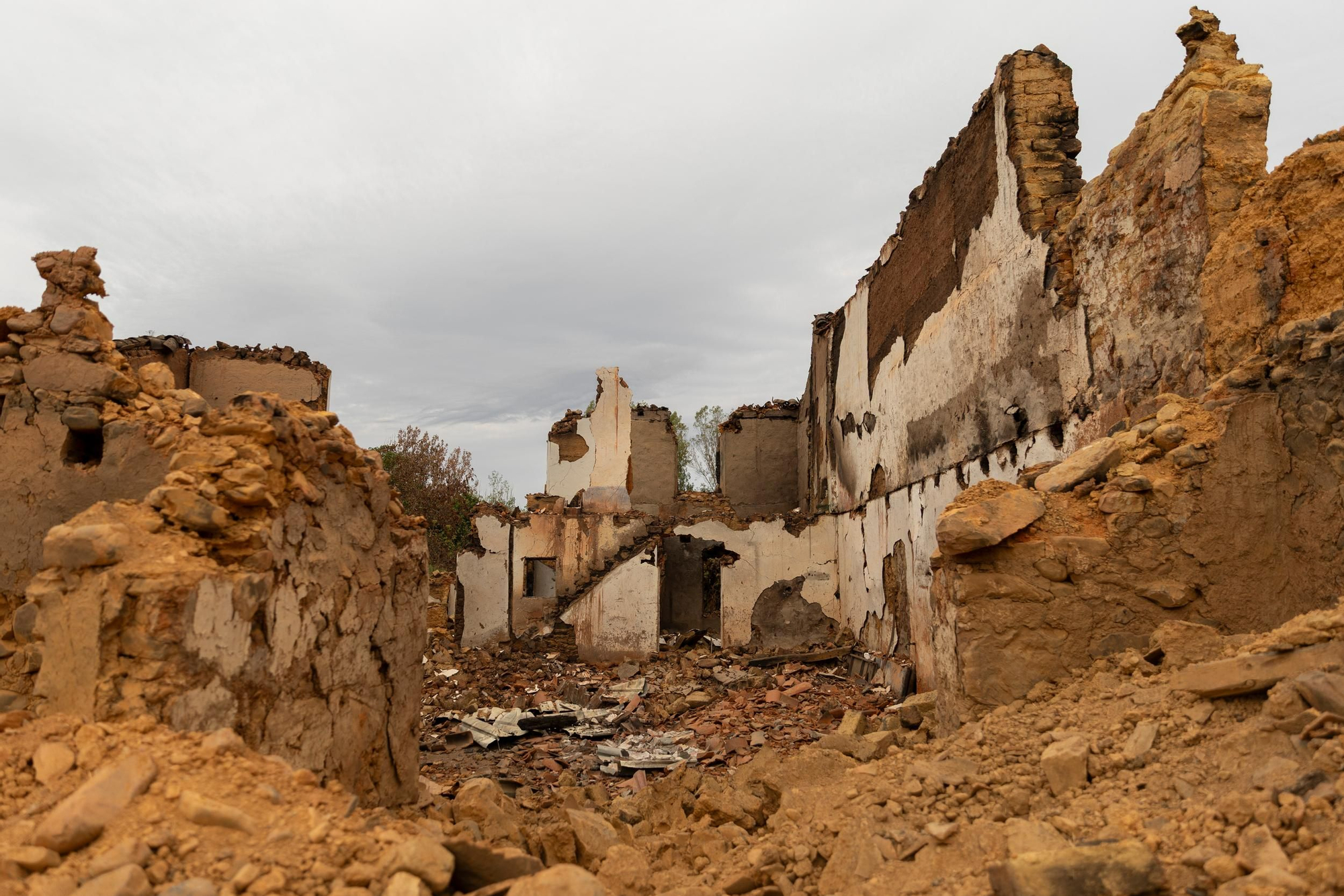 La devastación de los incendios del sur de León que impulsa la campaña internacional de Greenpeace