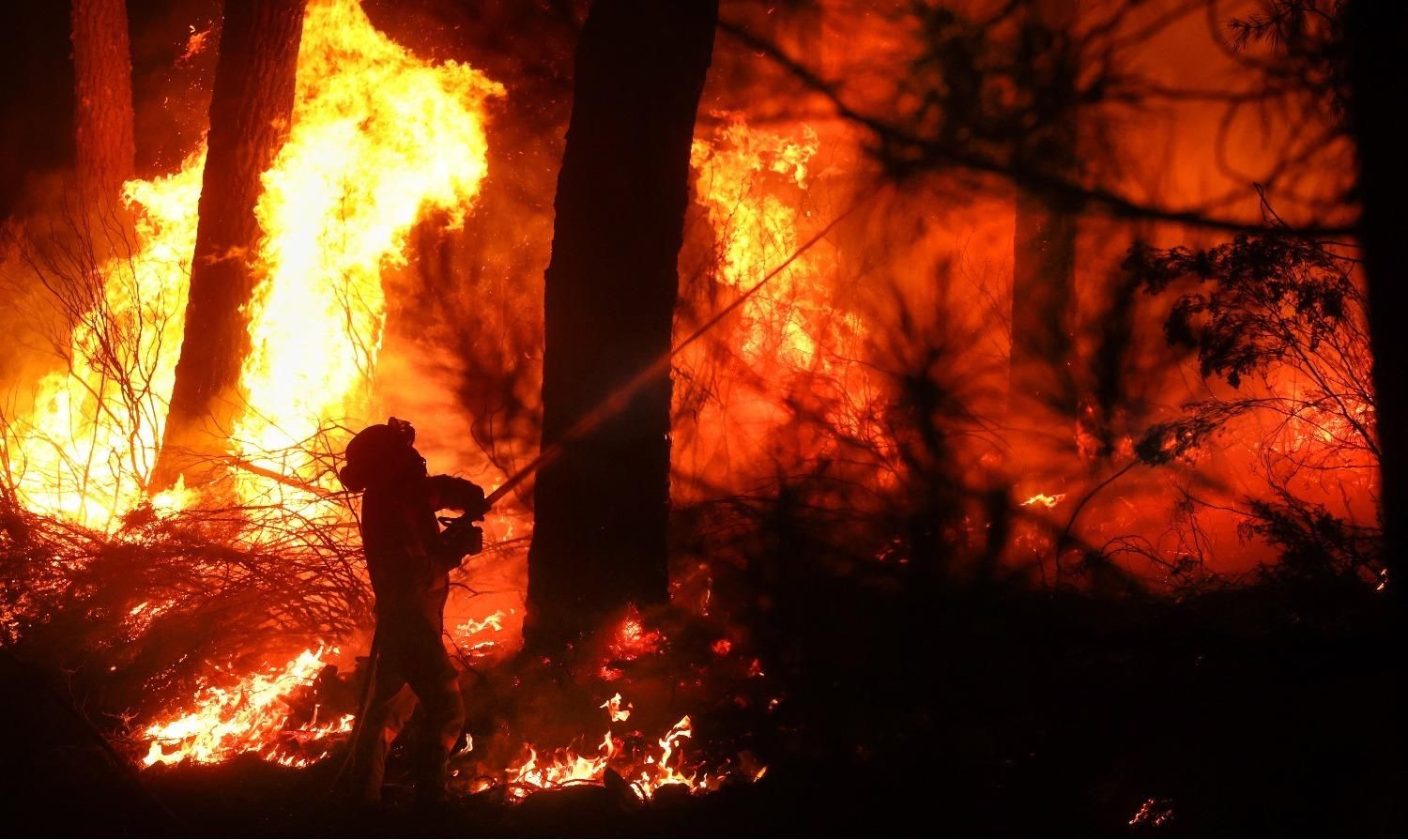 Los incendios forestales han sido terribles este año en la Región Leonesa.