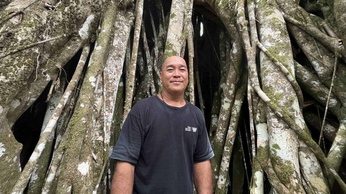James Manglona, delante del gigantesco ficus sagrado de la isla de Rota.