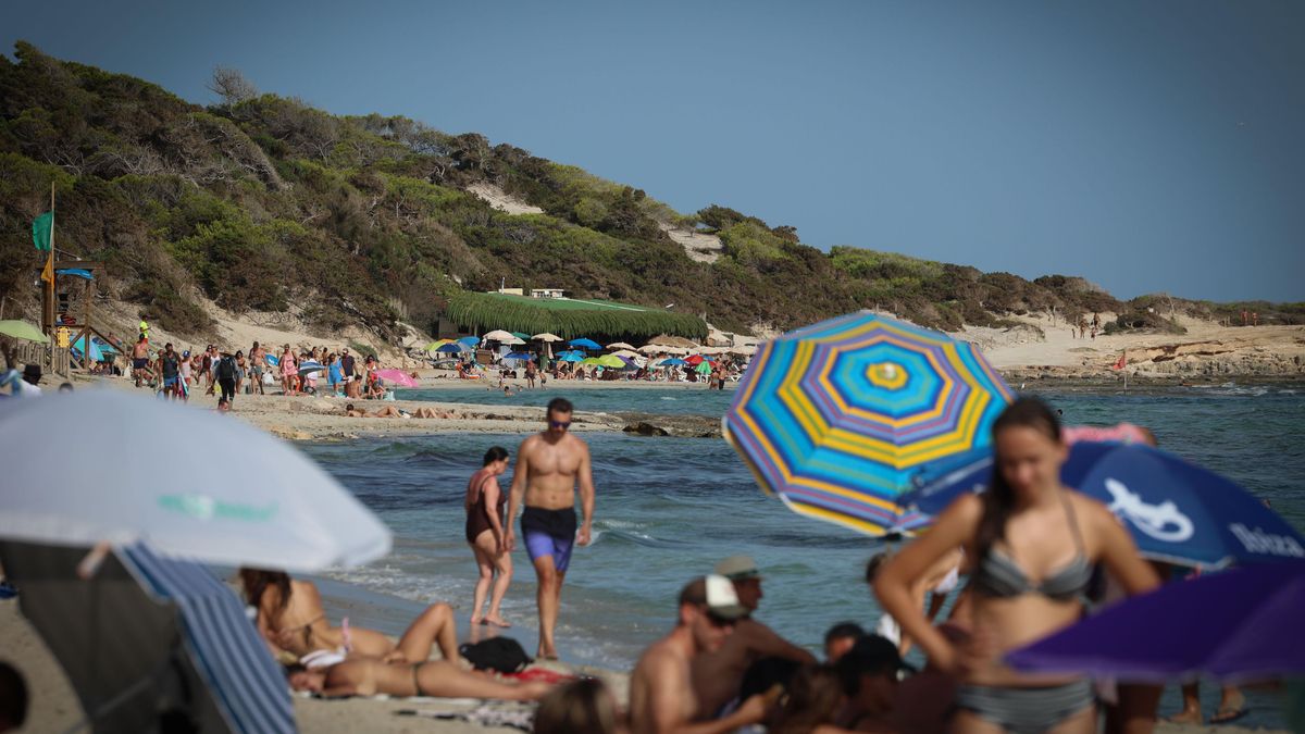 Turistas y residentes disfrutan en la playa de Ses Salines.
