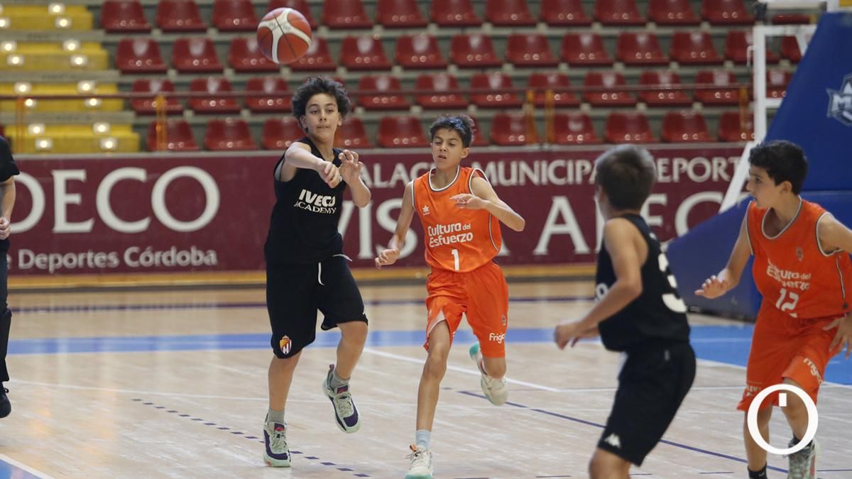 Campeonato de España minibasket