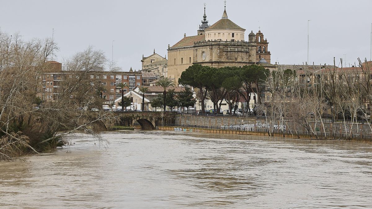 Vista del río Tajo a su paso por Talavera de la Reina el pasado viernes.EFE/ Manu Reino