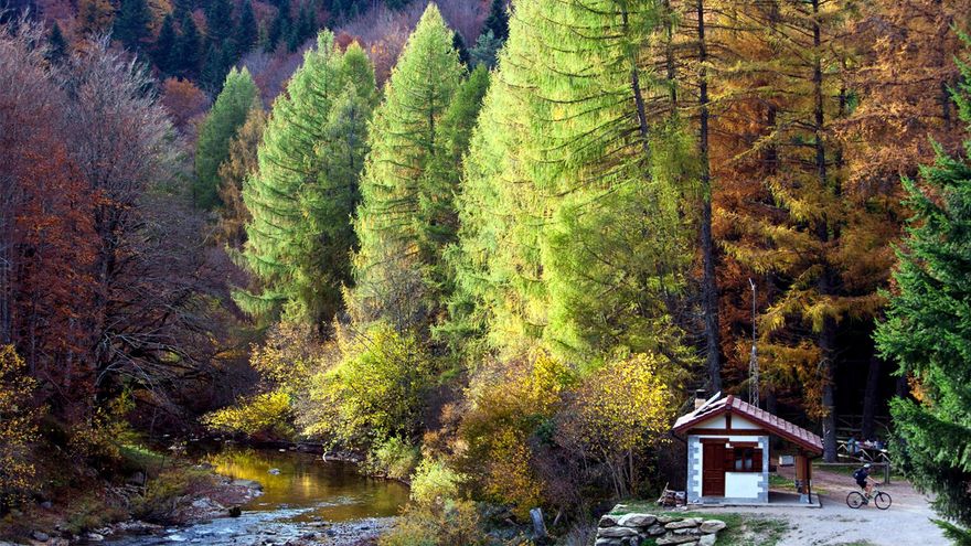 Navarra en otoño: un viaje de colores para todos los públicos