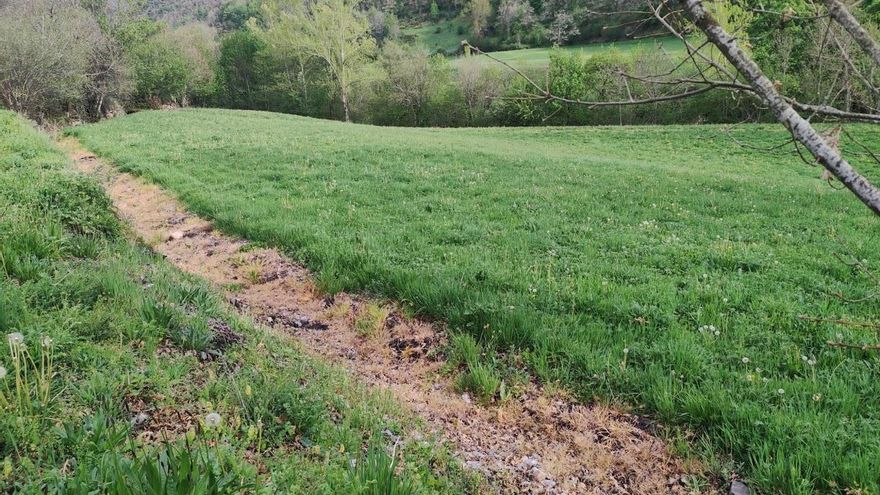 Las inmediaciones de la Ruta Verde en Rioscuro también han sido afectadas por el herbicida.