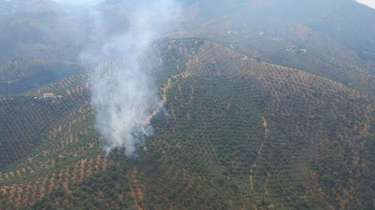 Incendio forestal en Pozoblanco