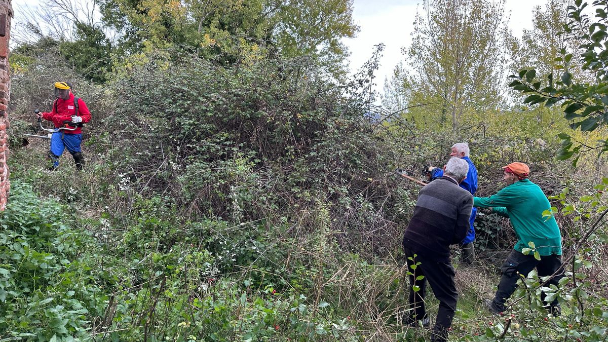 Últimos trabajos de desbroce desarrollados en Oteruelo