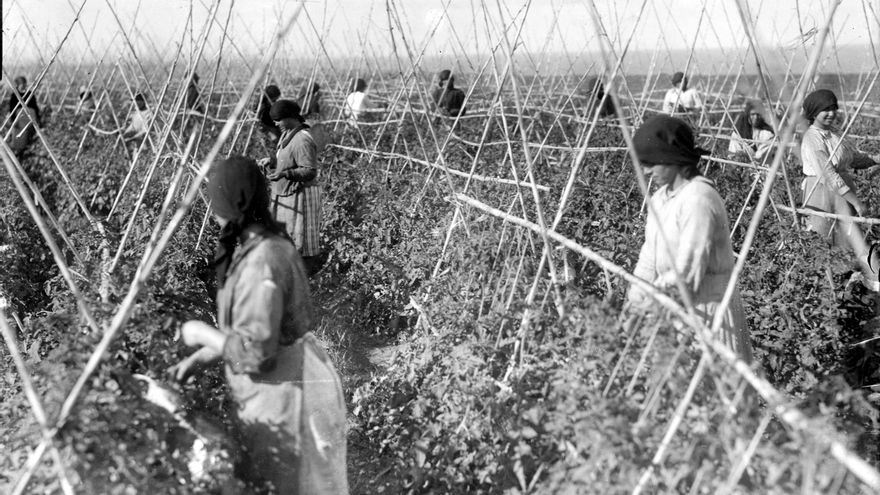 Docentes llevan al Consejo Escolar una propuesta para garantizar la continuidad de Historia y Geografía de Canarias