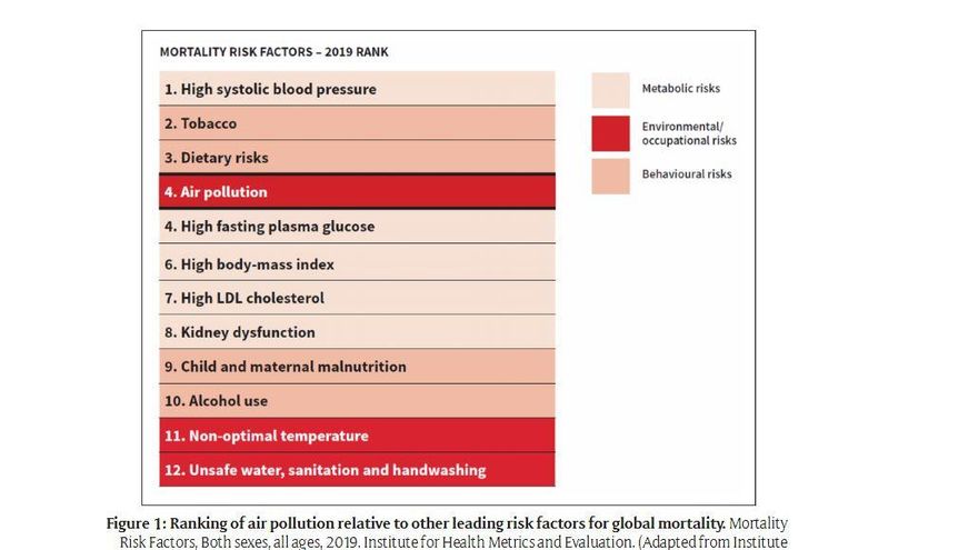 Factores de riesgo en la mortalidad por enfermedad cardiovascular.