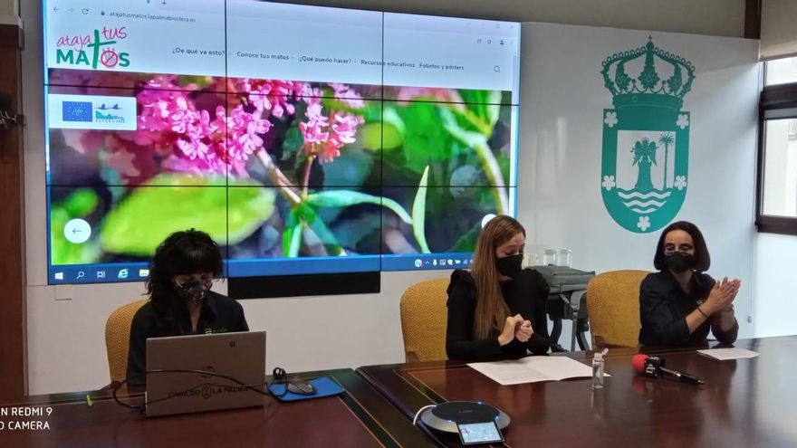 Reserva de la Biosfera y Cabildo presentan la web de la campaña ‘Ataja Tus Matos" contra las plantas invasoras