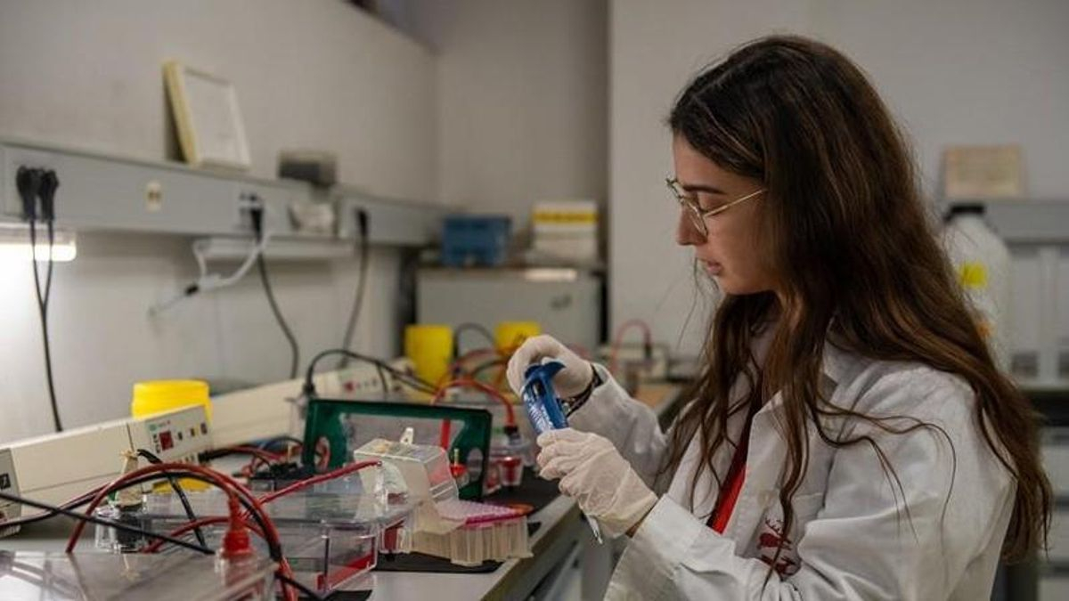 La Universidad de Castilla-La Mancha busca captar talento investigador "de excelencia" para la región
