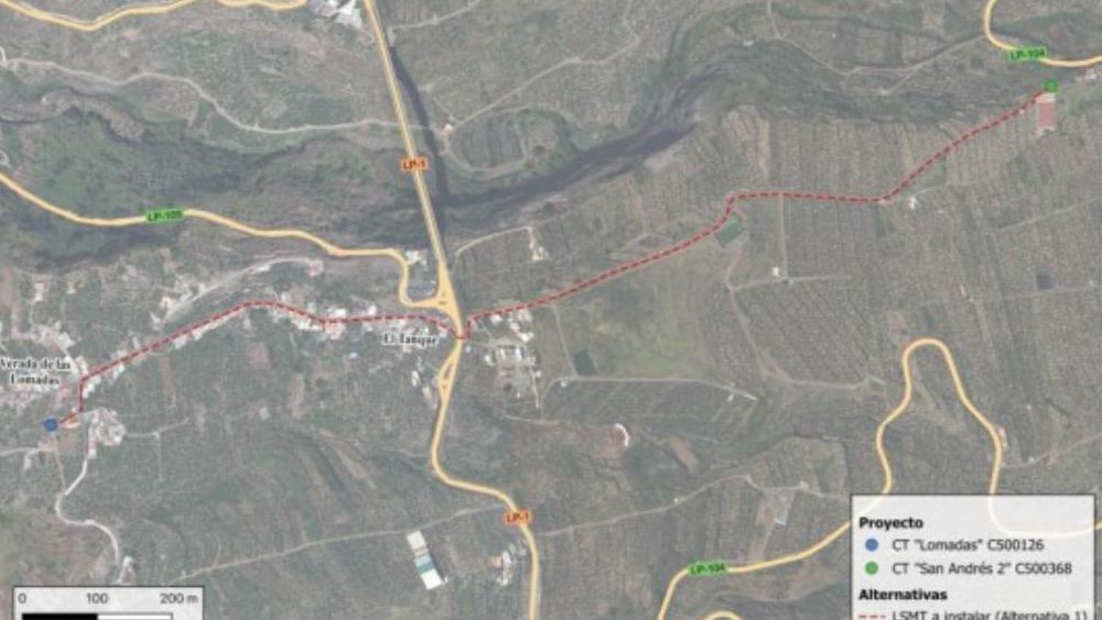 El informe ambiental del cierre del anillo eléctrico Las Lomadas-San Andrés exige identificar la flora protegida