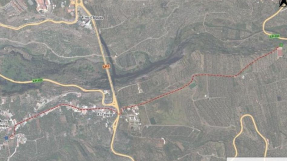 El informe ambiental del cierre del anillo eléctrico Las Lomadas-San Andrés exige identificar la flora protegida